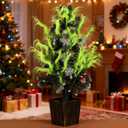 Norme 12 Pcs Christmas Tree Decorations 15.7 Inch Lime Green Furry Christmas Tree Topper Picks with Small Red Ball Vase Filler Picks Decor Ornaments for Table Mantle Gift Wrap Xmas Holiday Decor