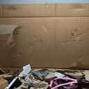 RoyalBaby Kids Bike Freestyle Classic & EZ Balance Pedal Switchable Bicycle, 12 14 16 18 Inch, 3-10 Years Toddler to Big Kids (Pink)