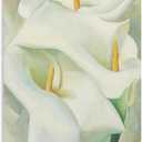 Georgia O'Keeffe Calla Lilies Modernist Abstract Art Painting On Canvas Wall Art Poster Scroll Picture Print Living Room Walls Decor Home Posters 20x30inch(50x75cm) (30L" x 20W", Unframe-style-17)
