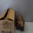 Hymmah Brown Bear Statue Home Decor Statue Rustic Home Decorations for Living Room, Boho Sculpture Resin Animal Collectible Figurines for Indoor Decor (B-Brown)