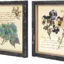 NIKKY HOME Botanical Wall Art Set of 2, Vintage Botanical Prints Wooden Framed Floral Plant Pictures Poster Decor for Bathroom Bedroom Living Room Office, 10x10 Inch