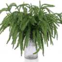 100 Pcs Artificial Christmas Norfolk Pine Picks, Bulk Faux Pine Stems Christmas Greenery Branches DIY Crafts Faux Pine Branches for Xmas Indoor Outdoor Home Decor (100)