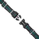 Hyhug Reflective Martingale Dog Collar with Buckle: Escape-Proof, No Slip Heavy Duty Nylon, Colorfast Adjustable Pet Supplies for Large Breeds (Reflective Green, Extra Large)