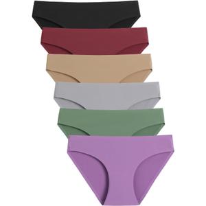 Caterlove Women's Seamless Underwear No Show Stretch Bikini Panties Silky Invisible Hipster 6 Pack (L)