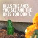 TERRO Liquid Ant Baits - T1813B - Outdoor Ready-to-Use Terro Ant Traps, Kills Household Ants, 12 Stakes