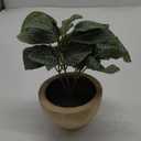 Plant in Pot for Decor Faux Plant Realistic Fake Plant for Mantle Office Desk Coffee Table Decor, Aesthetic Room Decor for Bathroom Bedroom Living Room Dining Room Kitchen