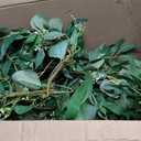 Fake Greenery Garlands Artificial Silver Dollar Eucalyptus Garland in Grey Green and Willow Twigs Garland Intertwined Together for Rustic Wedding Arch Swag Doorways Table Runner Decoration, 5.8 feet