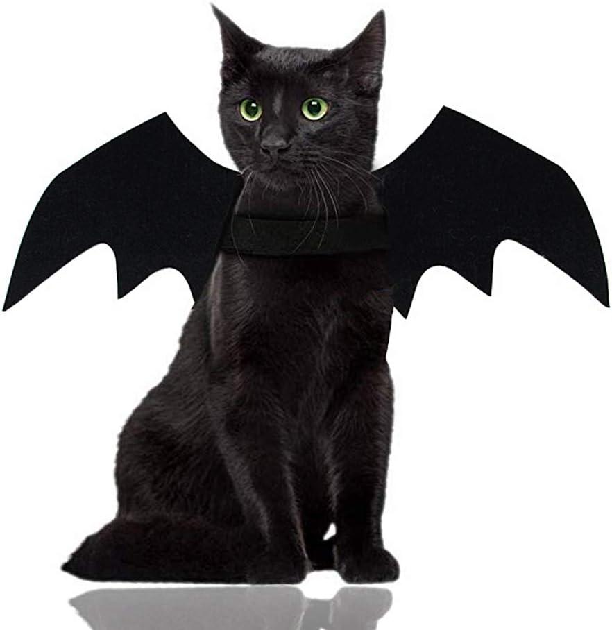 Malier Halloween Costume for Cat Dog, Dog Cat Halloween Costume Bat Wings Cosplay Costume for Small Medium Large Cats and Dogs (Large) Malier Halloween Costume for Cat Dog, Dog Cat Halloween Costume Bat Wings Cosplay Costume for Small Medium Large Cats and Dogs (Large)
