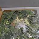 Wreaths for Front Door, 20" Artificial Eucalyptus Wreath, White Berry Greenery Wreath for Front Door Window Porch Wedding Farmhouse Garden Party Wedding Decor Spring Summer - Indoor/Outdoor