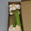 Floroom Ranunculus Artificial Flowers 18 Pcs Champagne Faux Silk Mini Ranunculus Bulk Fake Wedding Filler Flowers for DIY Cream Bouquets, Centerpieces, Bridal Shower Decorations & Arrangements