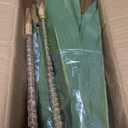 Nearly Natural 48in Artificial Dracaena with Real Touch Leaves and Multi Tonal Trunks, Large Indoor Silk Plant with Pot, Maintenance Free For Living Room And Home Office Decor