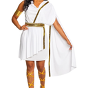 Morph Greek Goddess Costume - Women's Toga Costume, Halloween Goddess Outfit for Women, Greek Toga Dress, Size M