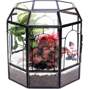 Large Glass Terrarium Handmade, Centerpiece Display Box Gift Planter Containers Indoor Terrariums House for Succulent Cacti Air Plants Miniature Fairy Garden (Black)