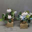 Janinka 2 Set 11 Inch Fall Decorations for Home White Pumpkins Eucalyptus Tables Centerpieces Artificial Pine Cones Berry Stem Picks Decor with 20 LED Lights for Autumn Thanksgiving Decorations