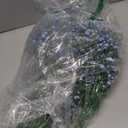 Yastouay Babys Breath Artificial Flowers, 30 Pcs Blue Baby Breath Flowers Artificial Bulk, Real Touch Fake Babys Breath Gypsophila for Wedding Party Bouquet Floral Arrangement Home Decor