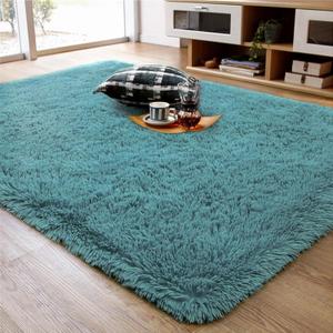 Ompaa Ultra Soft Fluffy Bedroom Rugs Memory Foam Carpet, 4x6 Feet Dark Cyan Area Rugs, Shaggy Living Room Rug Fuzzy Accent Carpets for Kids Girls Rooms, Modern Apartment Dorm Indoor Home Decor