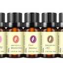 Hotel Diffuser Oil Gift Set - Inspired by The Most Popular 5-Star Hotel Scents - 10 mL, 0.34 fl oz Fragrance Oil Set - My Way, Westin White Tea and Other Luxury Hotel Scents