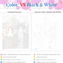 Miairivy DIY Paint by Numbers Kit for Adults & Beginners, Cat Easy Paint by Number Kits, 16 X 20 inches Large Size Colorful Canvas for Home Decor (MT4906)