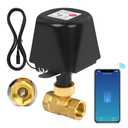 Smart WiFi Water Valve, Brass Motorized Ball Valve with Timer & App Remote Control, Alexa/Google Home Compatible, Ideal for Garden Sprinkler, Pool Filling, Greenhouse & Hydroponics, 3/4" G-Thread