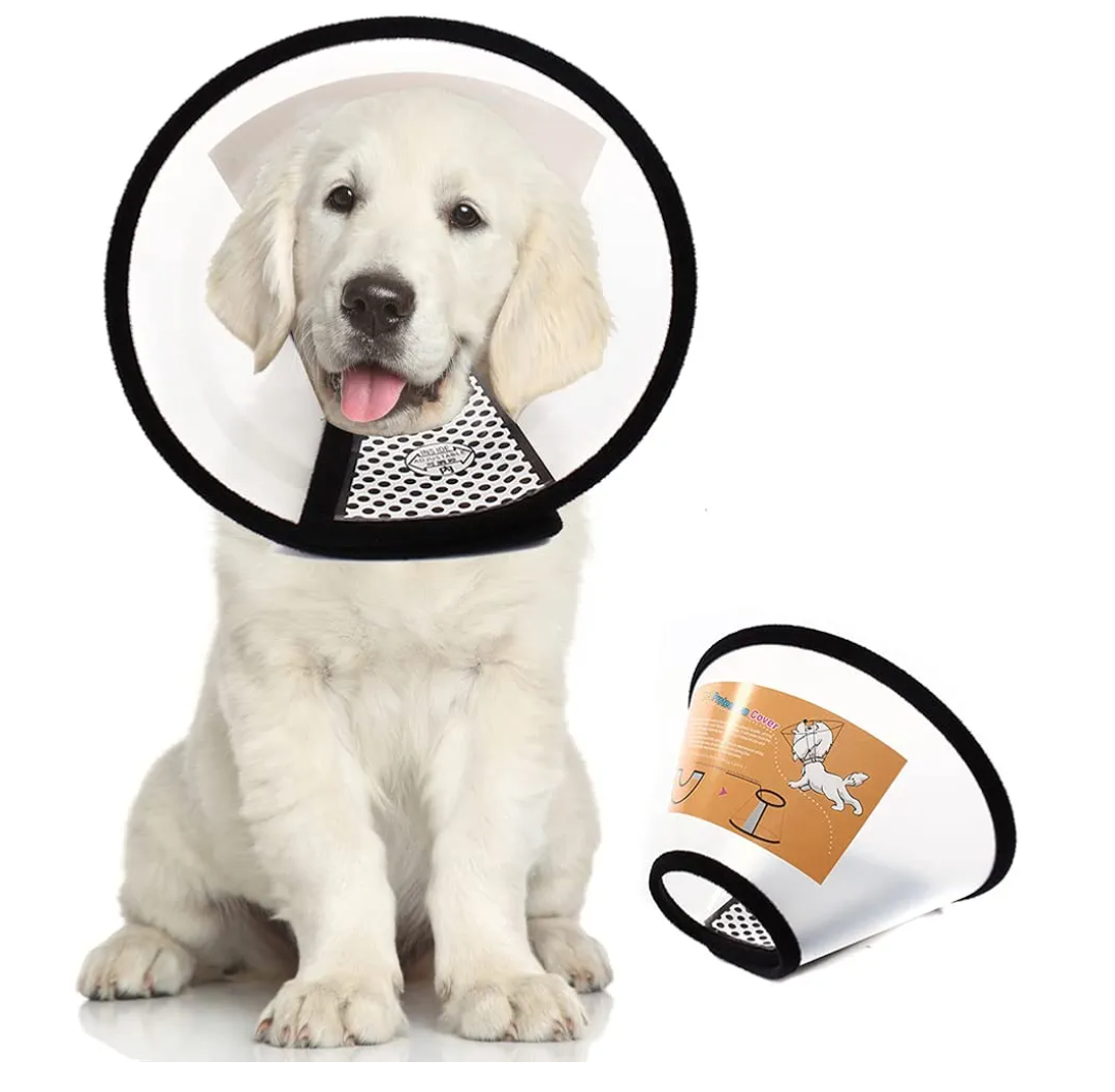 Plastic Pet Recovery Collars & Cones for Dogs and Cats After Surgery Adjustable Dog Neck Cone Surgical Elizabeth E-Collar Prevent Biting and Stop Licking Wound (M)