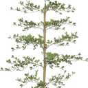 LYERSE Black Olive Tree Artificial- 6ft Faux Black Olive Tree with Natural Trunk and Realistic Leaves - Artificial Shady Lady Tree for Modern Home Office House Living Room Decor