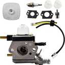 Carburetor Kit Replacement
