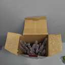 Minetom Icicle Lights Outdoor with Clips, 20ft 100 LED 20 Tubes Twinkling White Christmas String Lights, Connectable Waterproof Hanging Icicle String Light Plug in for Eave Holiday Outdoor