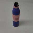 Owala® Blue Jay FreeSip Twist Bottle, 24 Oz