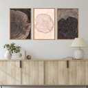 Beige Pastel Wood Tree Rings Framed Canvas Wall Art Set,Modern Nature Grey Wood Stump Wall Decor,Vintage Minimalist Tree Spiral Art Print for Living Room,Bedroom,Dining Room,Office-16 x24 x3