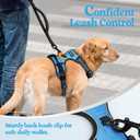 rabbitgoo Dog Harness No Pull with 2 Leash Clips, Adjustable Soft Padded, Reflective Oxford No Choke Pet Vest with Easy Control Handle for Small Dogs, Blue, S