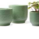 4 + 5 + 6 Inch Ceramic Pots for Indoor Plants, Succulents Plant Pots, Orchid Flower Pot with Drainage Hole, Modern Clay Stoneware Planters, Set of 3 (Green, 4+5+6 Inch)