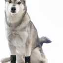 AGON Pair Dog Canine Front Leg Brace Paw Compression Wraps with Protects Wounds Brace Heals and Prevents Injuries and Sprains Helps with Loss of Stability Caused by Arthritis (Large/X-Large)