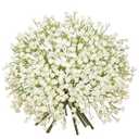 Baby's Breath Artificial Flowers Bulk 10 Pack (30pcs) Faux Baby Breath Plastic Flower Fake Gypsophila Flower Arrangement for Crafts Fake Flowers Bouquet for Wedding Centerpieces Cream Baby Breath