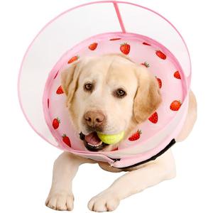 Dog Cone Collar with Snap-on Detachable Soft Liner, Lightweight Transparent Elizabethan Alternative to Stop Licking, for Spay Neuter Surgery Recovery, for Medium Large Small Dogs (Pink,XS)