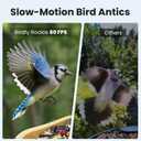 Birdfy Smart Bird Feeder with Camera for Rookie, Camera Bird Feeder Dual Night Vision, AI Recognition IP66 Waterproof for BirdLovers, 1.3L Capacity