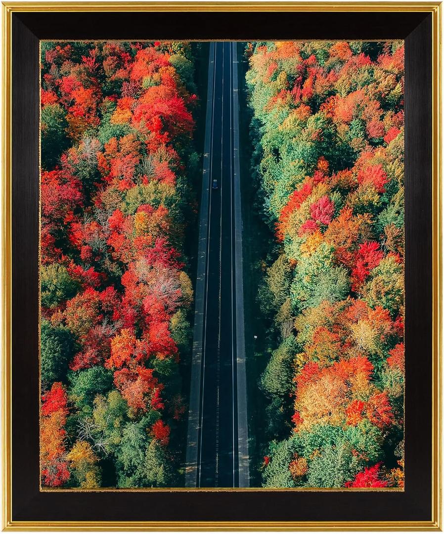 Space Art Deco, 16x20 Ornate Picture Frame Without Mat for 16x20 Photo,Shatter-Resistant Glass Sawtooth Hangers Wall Mount Display(Color Black/Classic Gold)