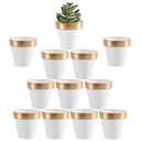 Yishang 2.5 inch White&Gold Terracotta Pots with Drainage Holes,Small Mini Clay Ceramic Pottery Planter,Cactus Flower Terra Cotta Pots,Succulents Nursery Pots for Indoor/Outdoor Plants,Crafts-12 Pack