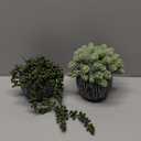 Winlyn Set of 2 Artificial Succulent Plants in Black Pots Fake Hops Aloe String of Pearls Potted Plants Small Faux Plants Desk Plants for Home Office Desk Kitchen Bathroom Shelf Windowsill Decor