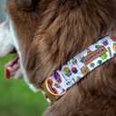 Elegant little tail Dog Collar with Bow - Fall Dog Collar Halloween Candy Bow Girl Boy Pet Collar Soft Dog Bowtie Collars for Medium Dogs (Medium (Pack of 1))