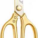 Heavy Duty Multipurpose Stainless Steel Scissors with Big Handle - Champagne Gold
