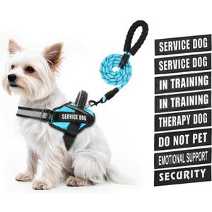 Service Dog Vest Harness and Leash Set, Animire in Training Dog Harness with 10 Dog Patches, Reflective Dog Leash with Soft Padded Handle for  Dogs, XXS
