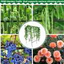 PKBD Tall Garden Arch Trellis for Climbing Plants Outdoor, 7.5 ft Tall Polyethylene-Coated Stainless Steel Garden Arch for Climbing Vine Vegetable/Fruit/Flower, Cucumber Trellis for Raised Bed, Black, 90x67x47