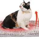 Self Heating Cat Pad Self Warming Bed 27.5" x 18.5" Thermal Heated Cat Mat Extra Warm Pet Mat for Outdoor and Indoor Large Kittens Small Puppy Pets (Medium)