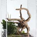 Acrylic Clear Reptile Habitat Enclosure Terrarium with Latch Perfect for Amphibians and Invertebrates Such as Spiders, Frogs, etc (Vertical Large)