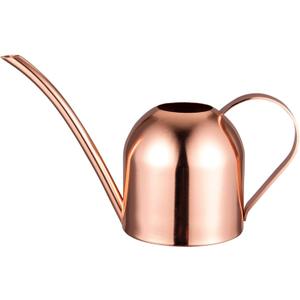 IMEEA Small Watering Can for Indoor Plants Stainless Steel Indoor Watering Can with Long Spout, 15oz/450ml (15oz (Rose Gold))