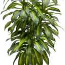 6FT Fake Tall Plant Artificial Dracaena Tree Indoor Faux Plants Indoor Luxury Fake Plants for Living Room Decor Artificial Tree Floor Plant White Planter