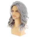 Long Curly Wavy Grey Wigs for Men Synthetic Natural Cosplay Halloween Costume Party Wig, 16inch