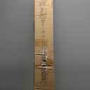 2-IN-1 Cordless 10-Inch Pole Saw And Chainsaw Compatible with Milwaukee 18V Battery, Total Reach of Max 15ft, Auto Oiling, Electric Pole Saw for Tree Trimming Pruning (Battery NOT Included)