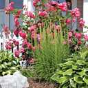 Northeast Home Landscaping, 3rd Edition: Including Southeast Canada (Creative Homeowner) 54 Landscape Designs, 200+ Plants & Flowers Best Suited to CT, MA, ME, NH, NY, RI, VT, NB, NS, ON, PE, & QC