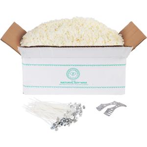 Hearts & Crafts Soy Candle Wax Kit - 10 lb Wax Flakes with 100 Cotton Wicks and 2 Wick Holders - DIY Supplies for Crafting Candles, Tarts, and Scented Creations